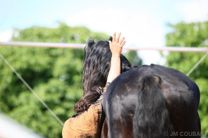 Diapositive suivante